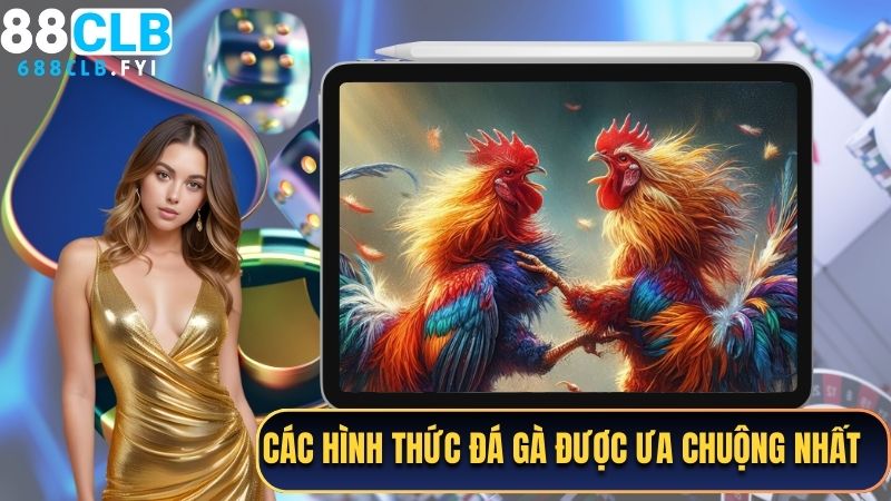 Các hình thức đá gà được ưa chuộng nhất trong sảnh SV388 tại 88CLB